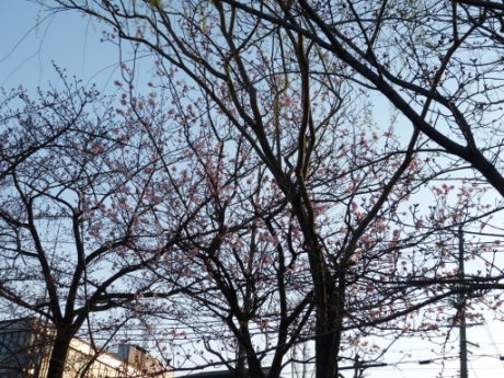 画像15